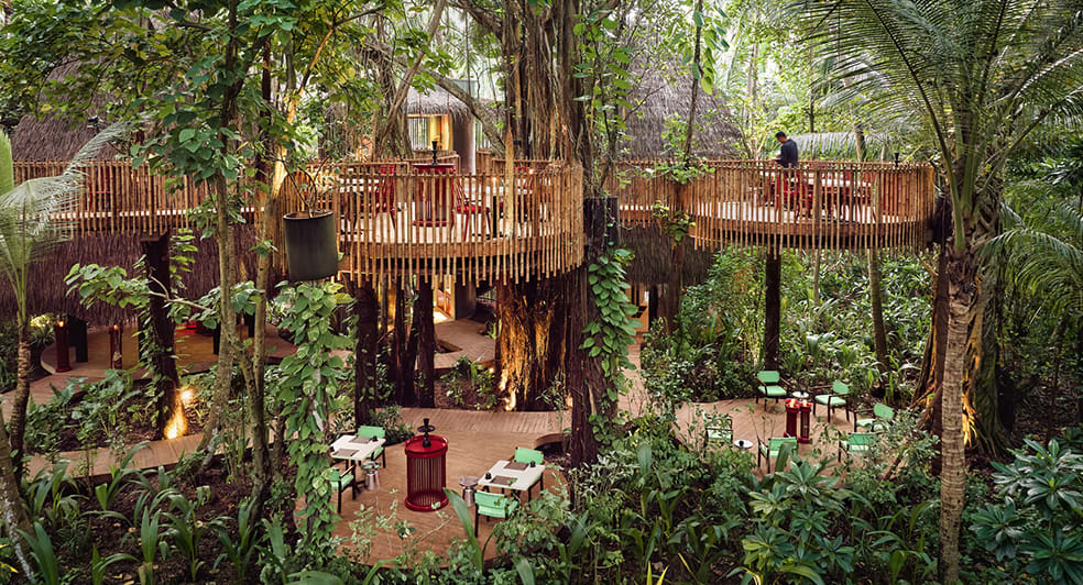 Nest 樹屋餐廳